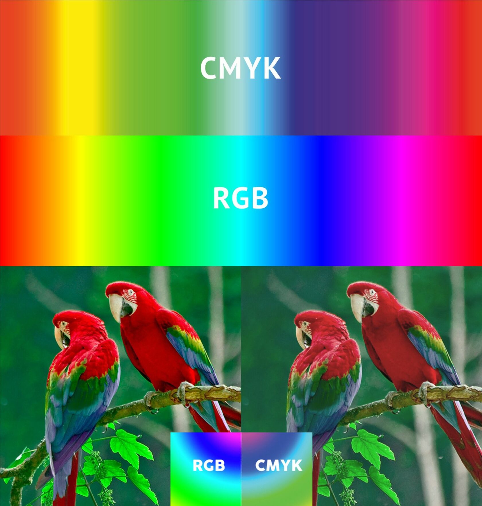 Сравнение RGB и CMYK