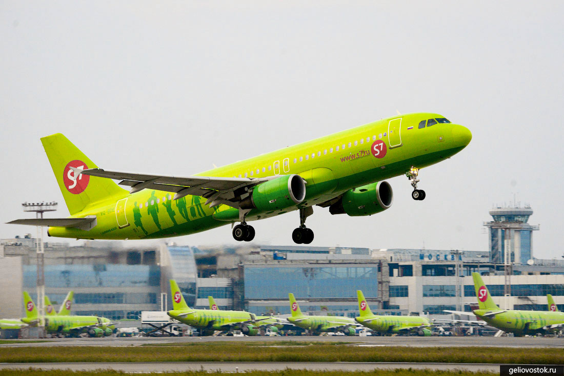 S7 airlines картинки