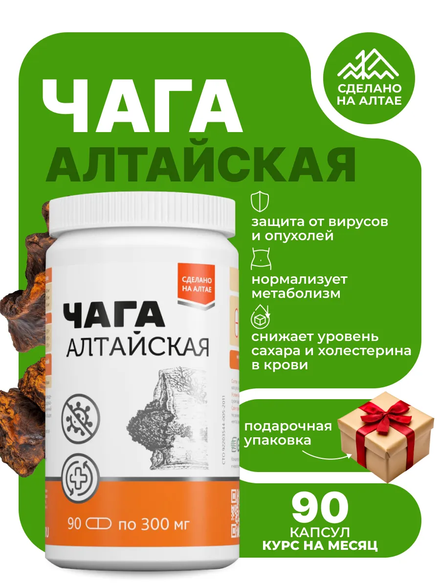 Чага березовая алтайская в капсулах в коробке