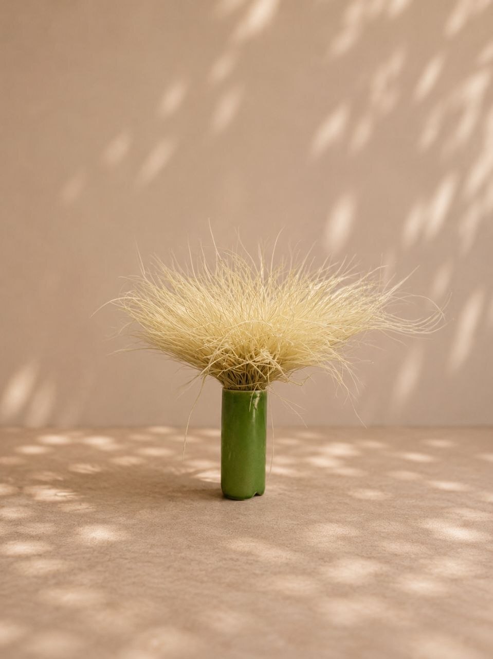 Stipa sp.
