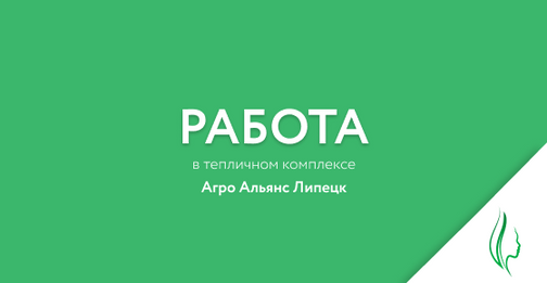 Альянс агро. Тепличный комплекс - Агро Альянс Липецк конь Колодезь. Теплицы Агро Альянс Липецк. Агроальянс Липецк Хлевное. ООО 