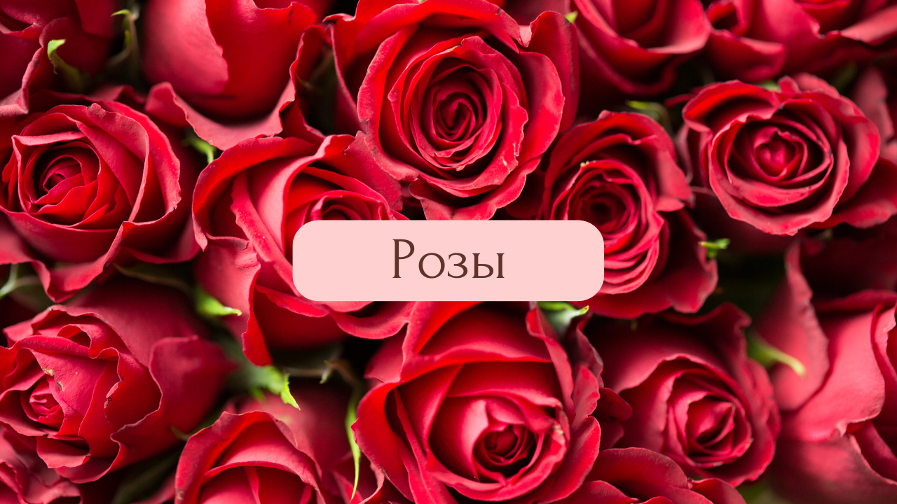 Купить букет 101 роза в Москве недорого от 4890 руб.