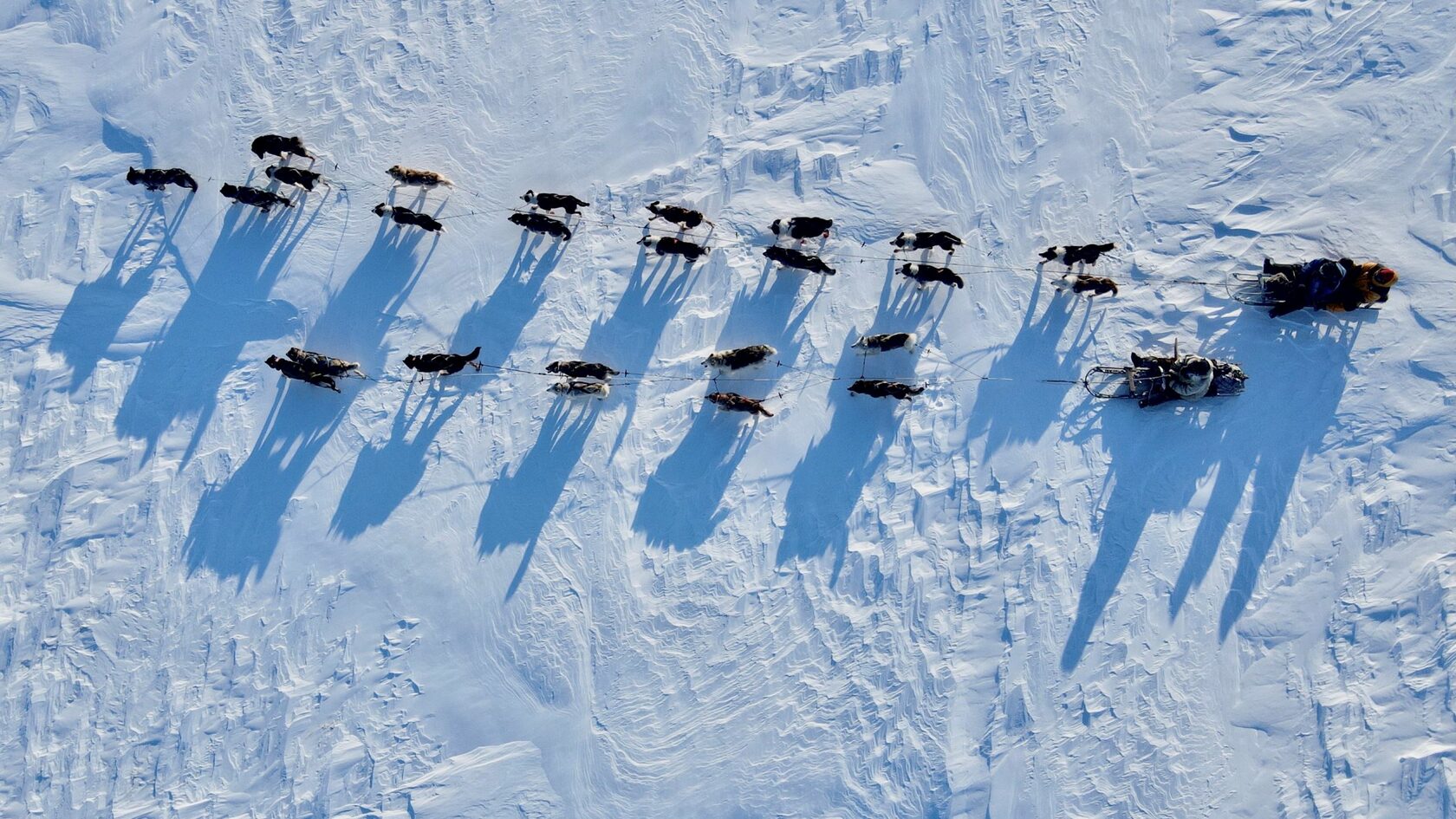 Mushukda chozish Mushukda chozish