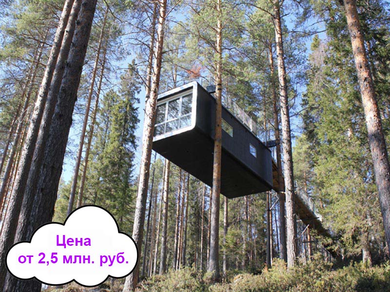 цена домов на деревьях