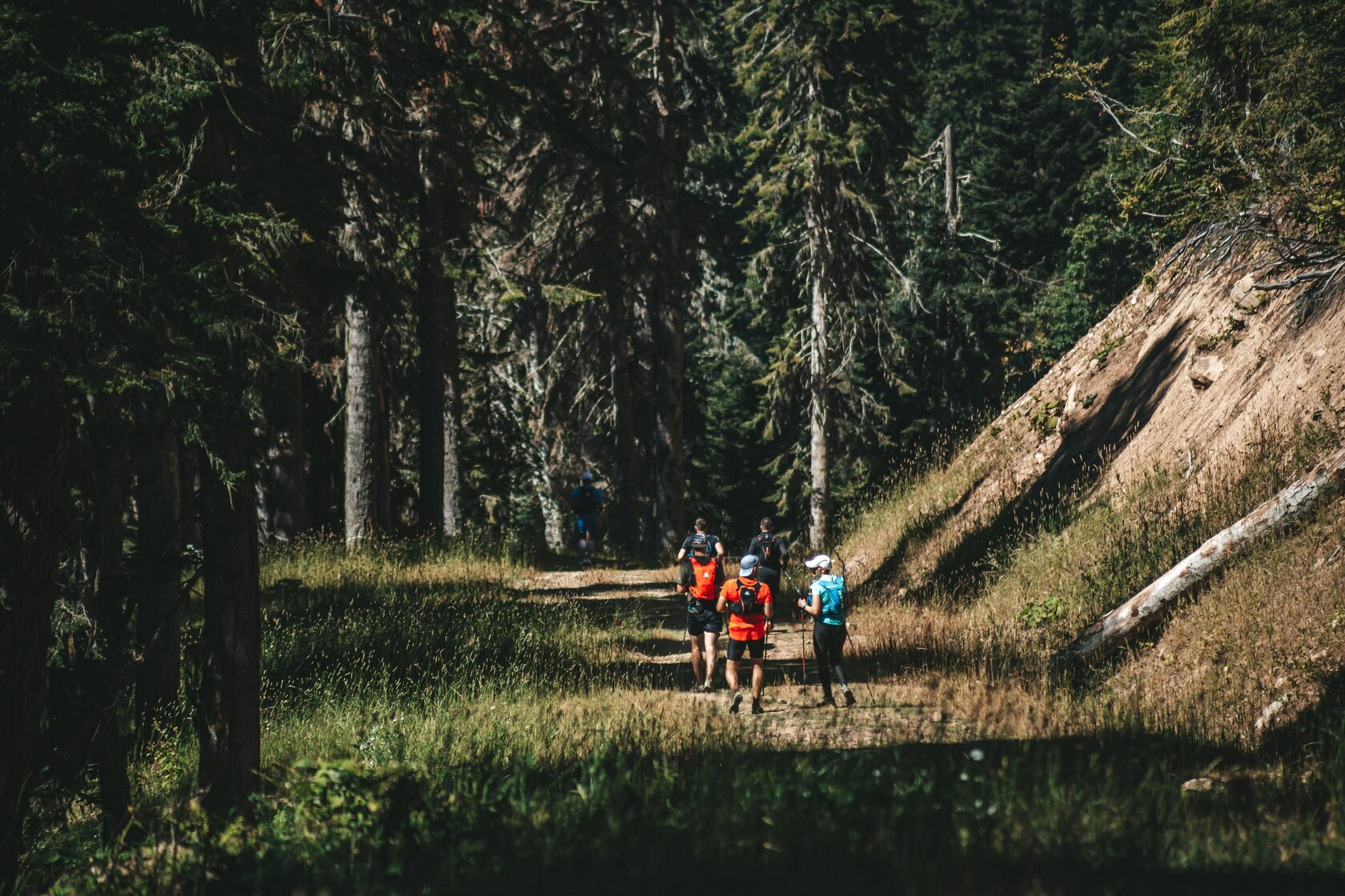 Wild academy. Беговой Кэмп Wild Trail. Wild Trail 2023. Трейл 10 водопадов. Rosa Wild Trail.