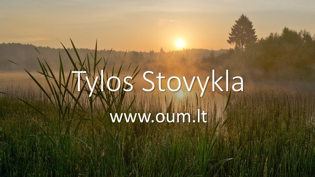 Tylos Stovykla