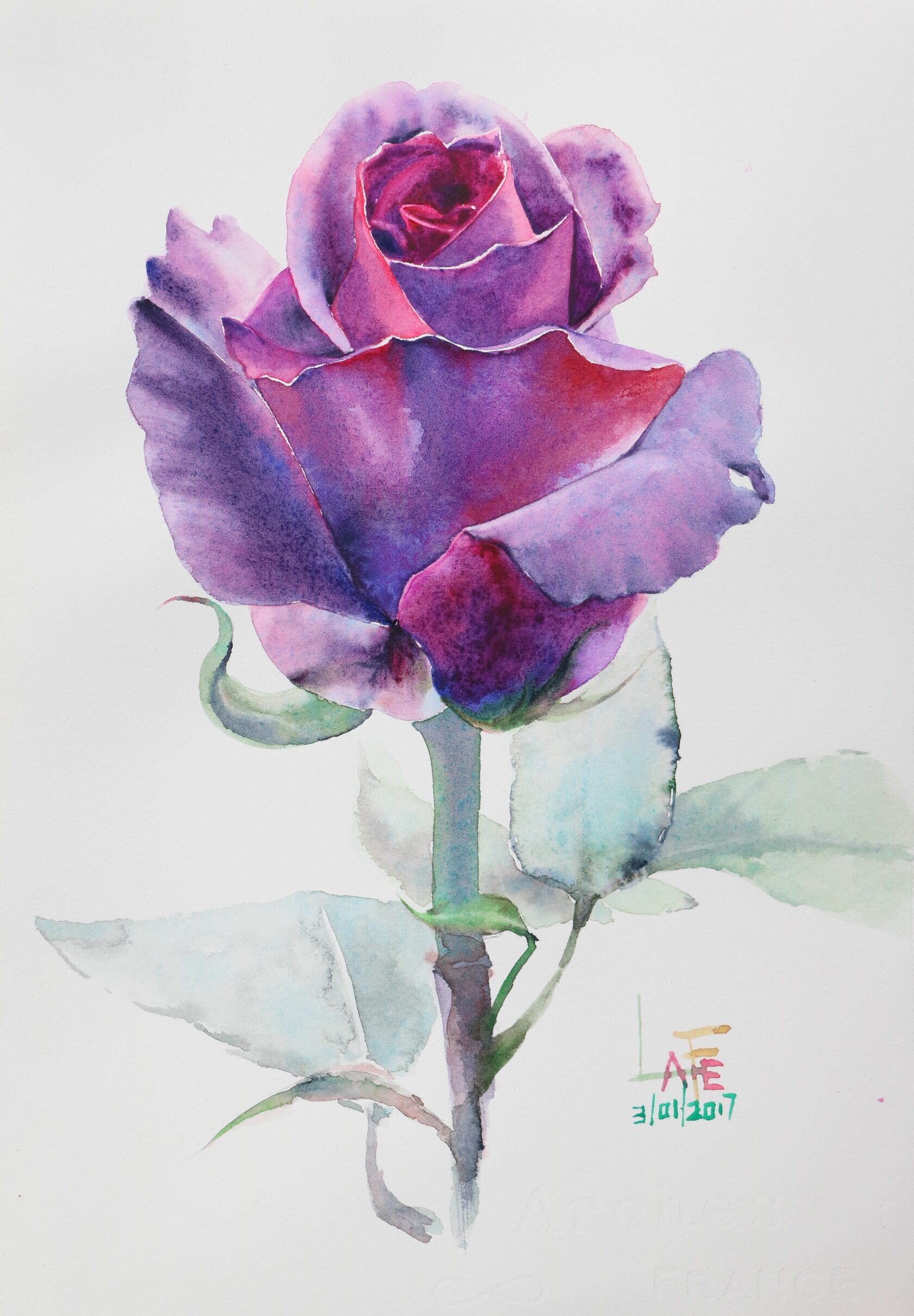 Watercolor rose by La Fe