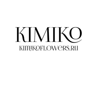 website icon