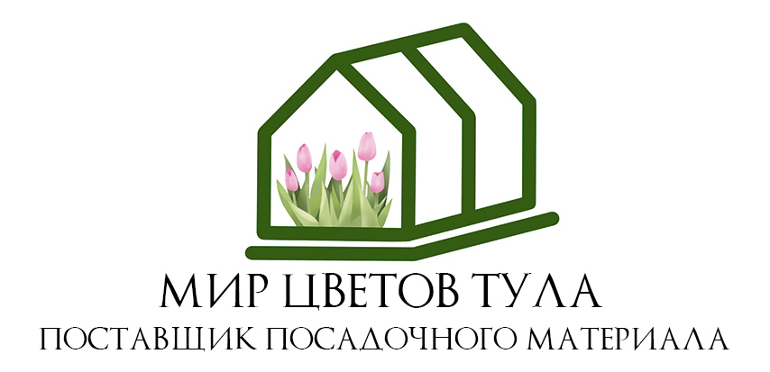 Мир Цветов Тула