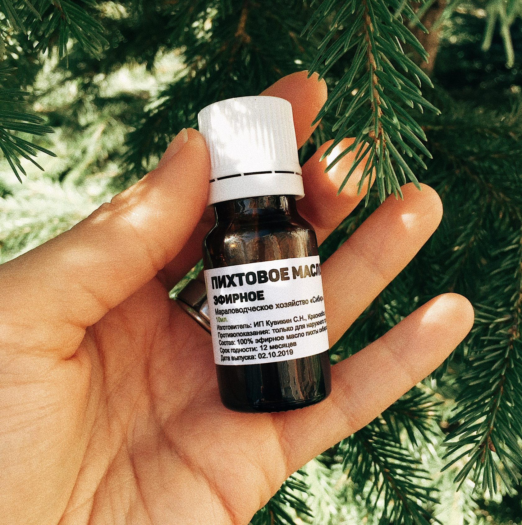 Fir Essential Oil