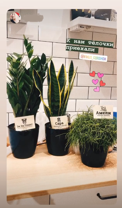 Телочки На Горшке (26 Фото)