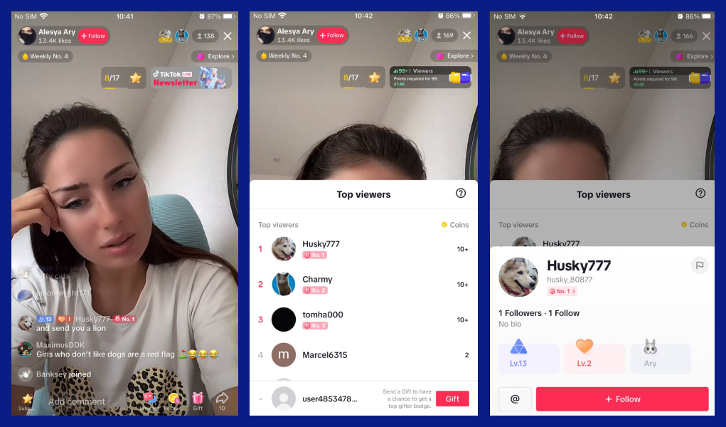 The screenshot shows the interface of TikTok app when a user opens a stream. On the top right corner the total number of viewers can be seen. When you tap on it, the list of viewers and donators will open.