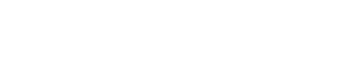 MEDIA LINGVO
