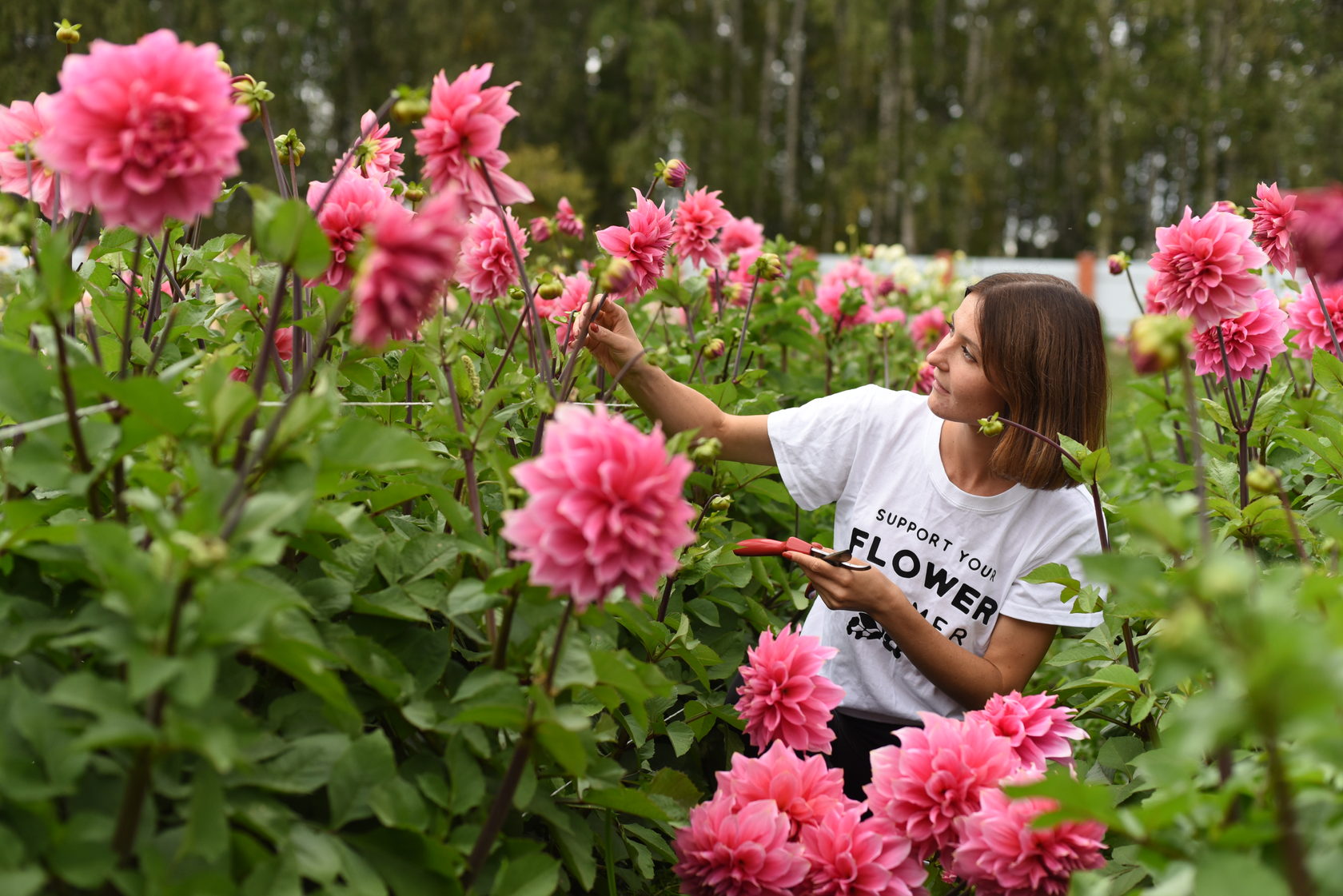 Цветочная ферма Local Flowers