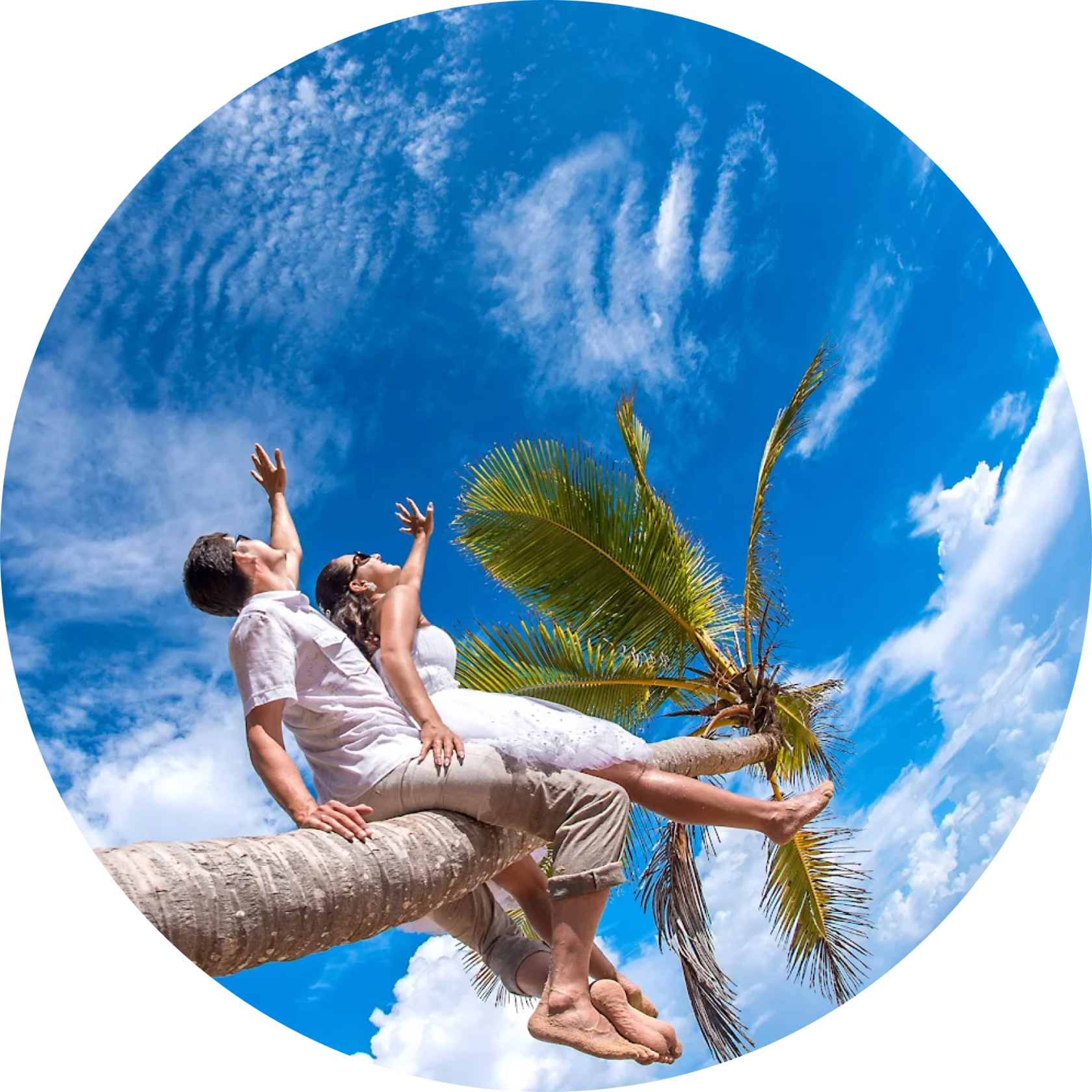 a couple is sitting on a palm tree