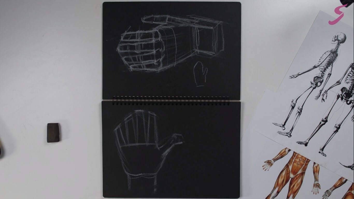 Учимся рисовать руку человека