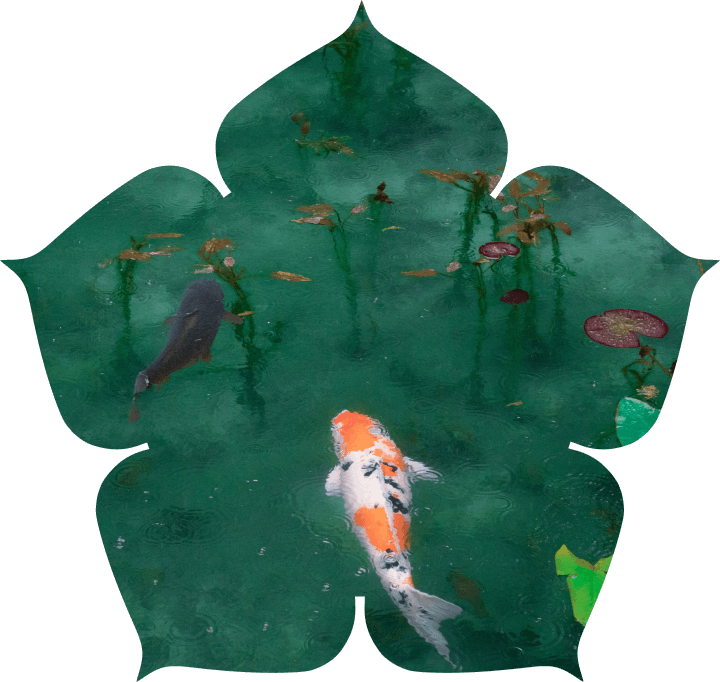 Заставка на телефон