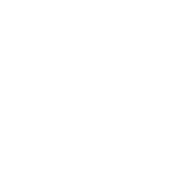 Портретная экспертиза