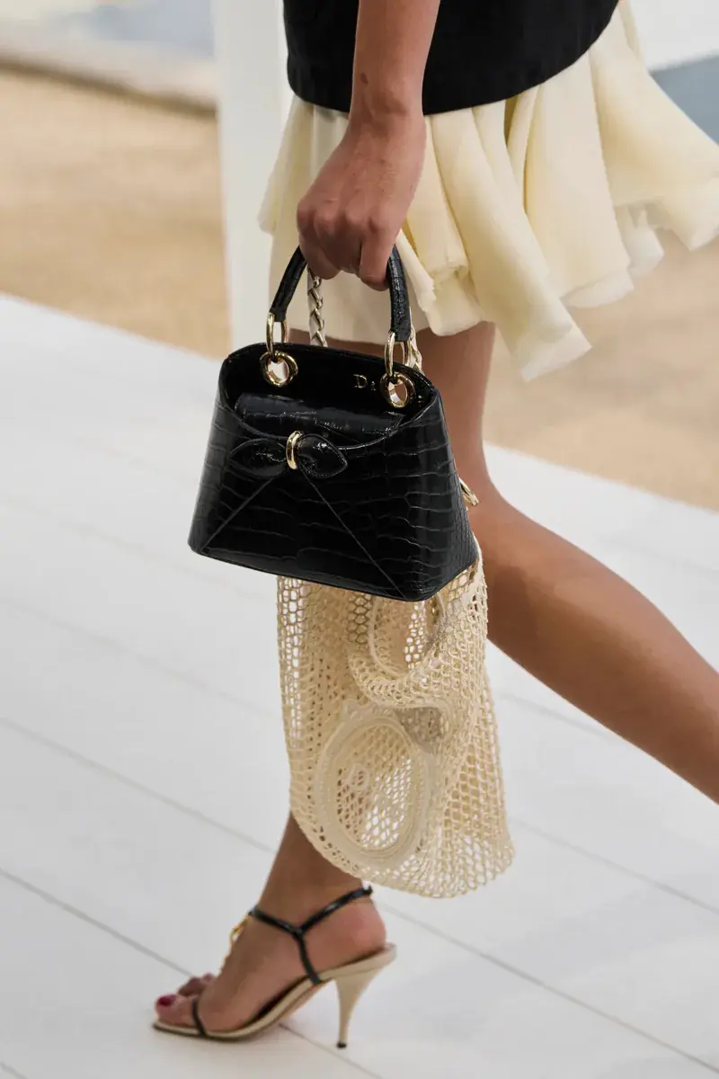 Сумки Dior Spring 2027 17