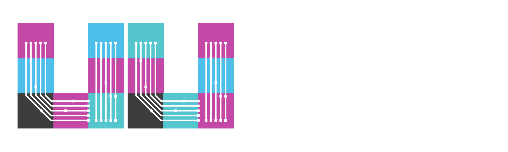 В Приморском районе выбрали победителей конкурса «Ученик года»