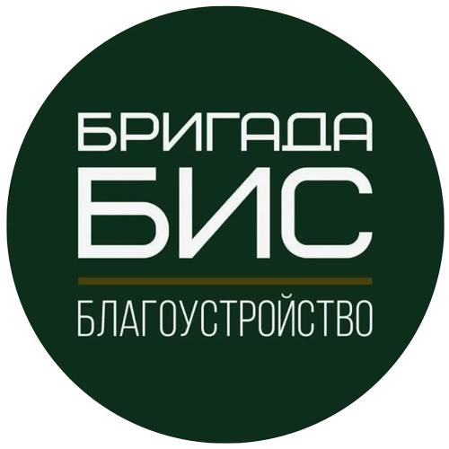Бригада БИС