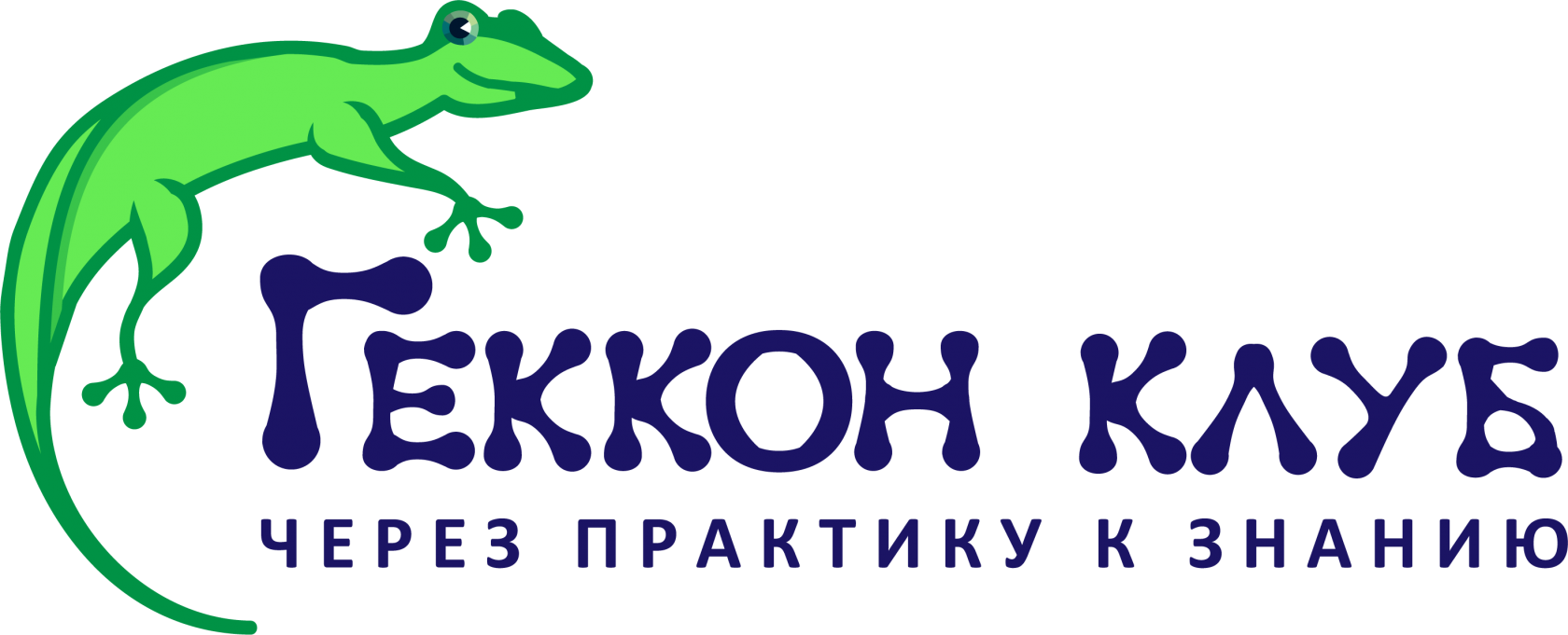 Геккон клуб. Инженеры изобретатели геккон. Геккон детский клуб. Геккон клуб Юго-Западная. Учебный лагерь ящериц.