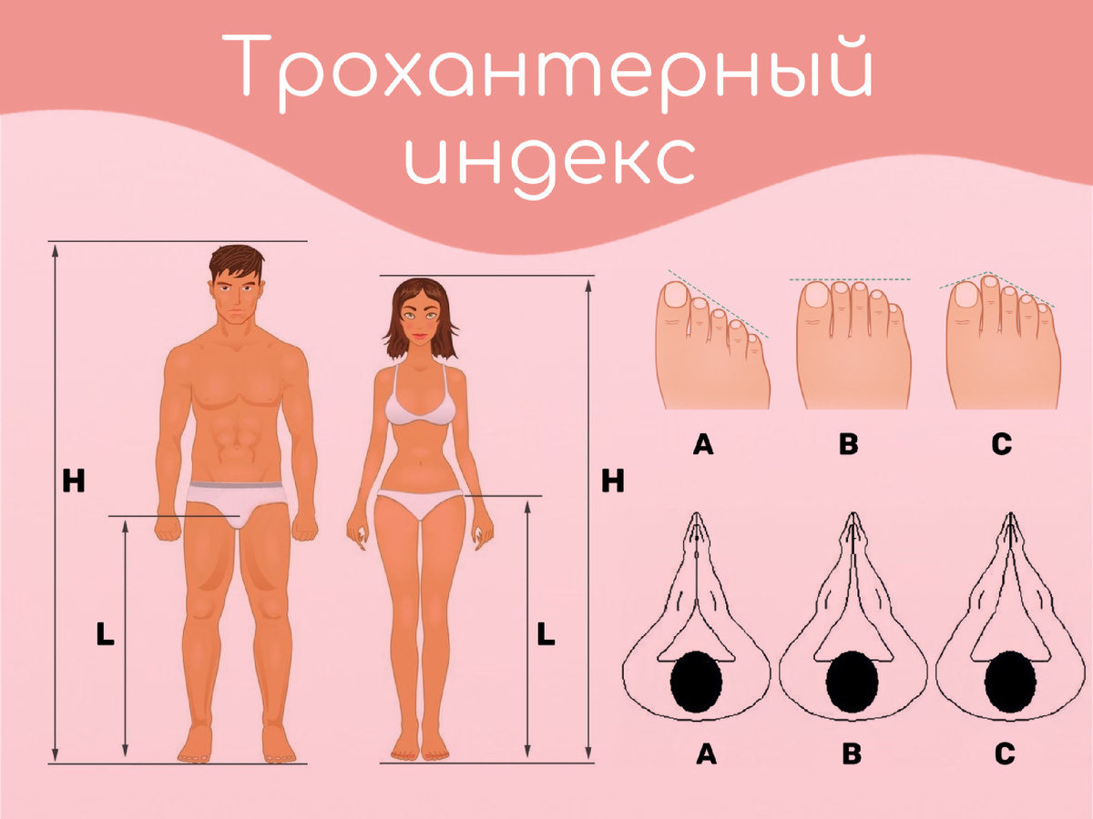 Трохантерный индекс рассчитать. Васильченко таблица половая констит. Трохантерный индекс. Трохантерный индекс рассчитать. Половая конституция.
