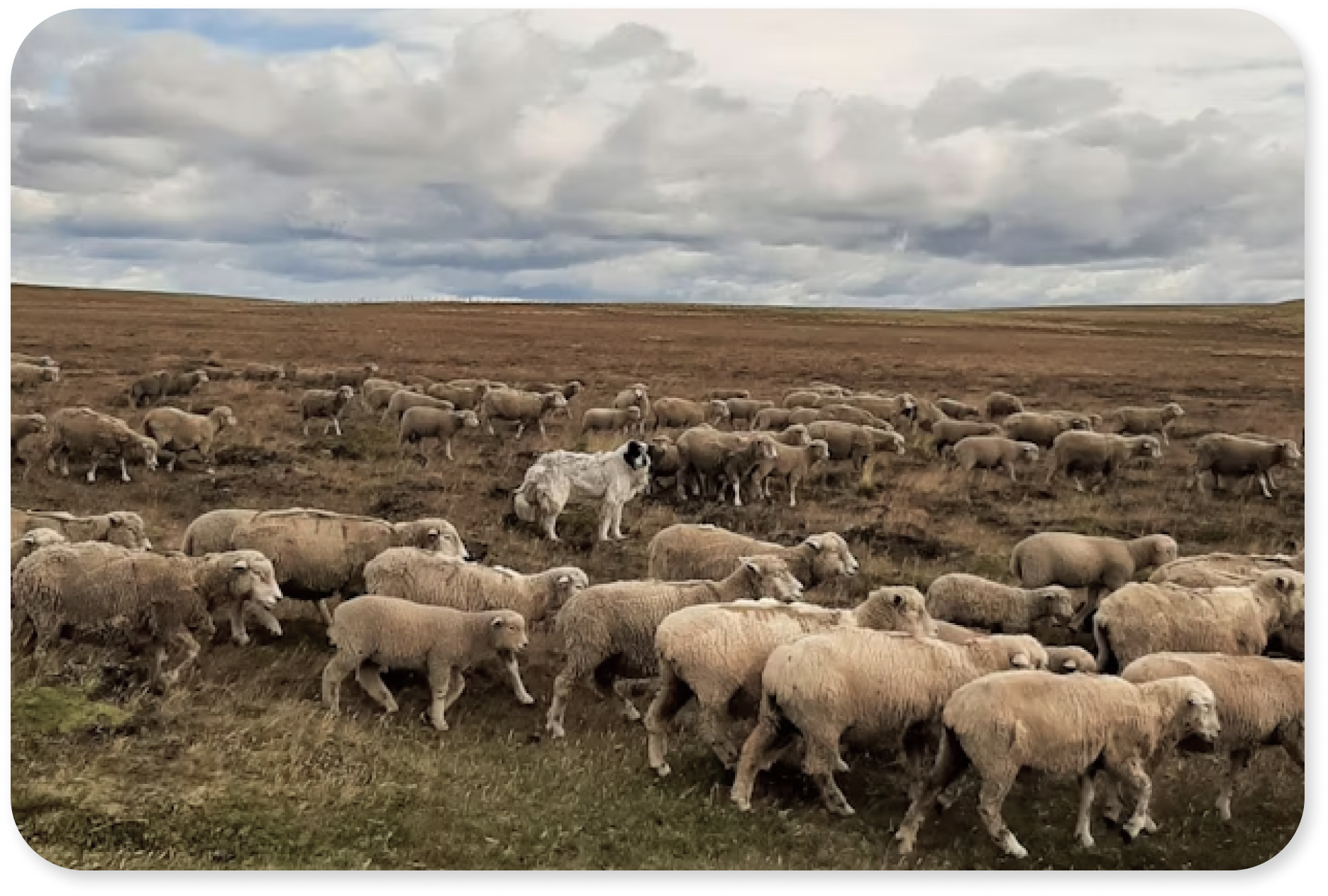 Озеро Кардиэль — береговая линия