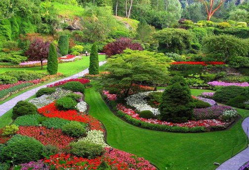 5 садовых трендов: лучшие идеи от ландшафтного дизайнера