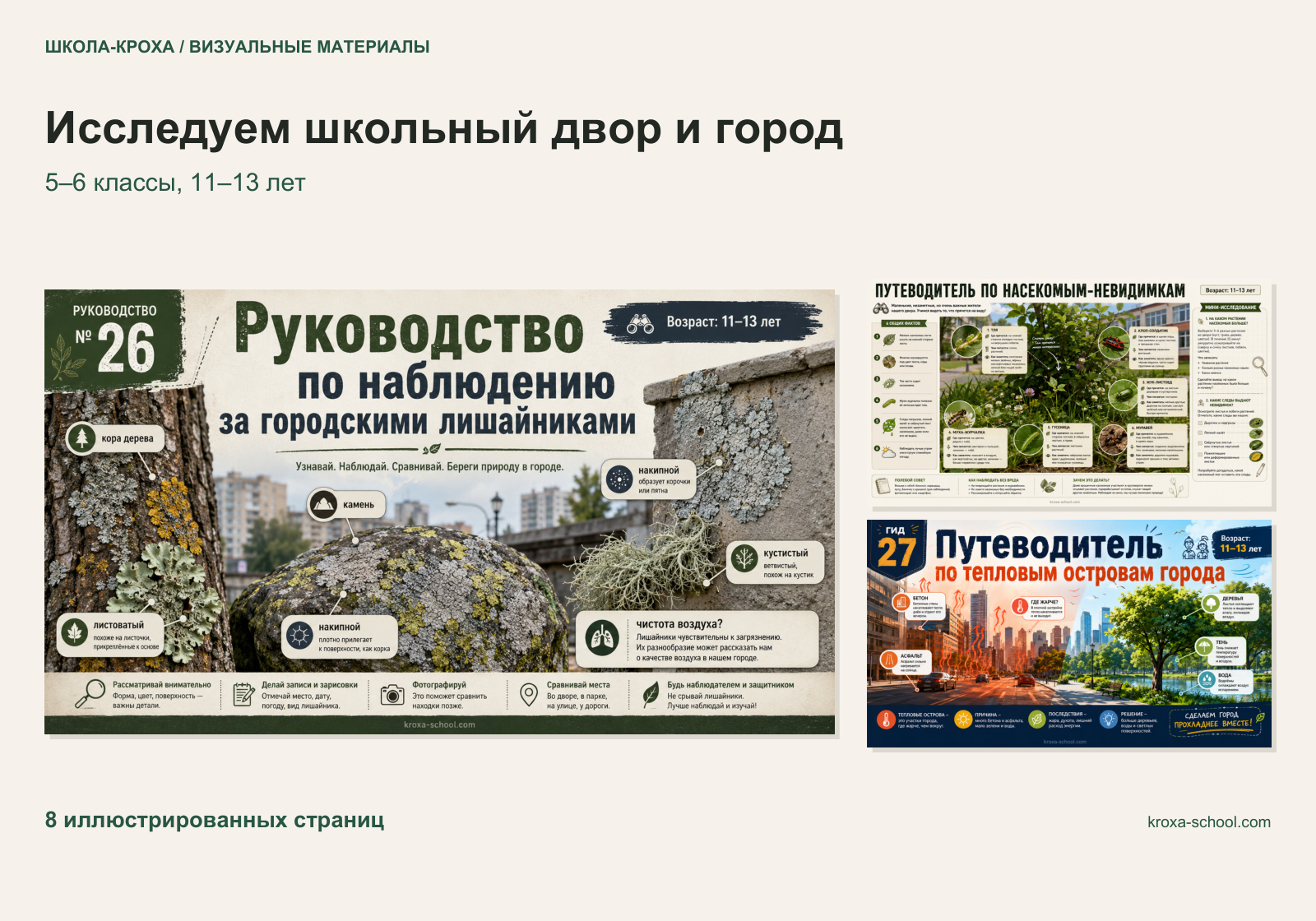 Школьный двор и город: идеи исследований для 5–6 класса