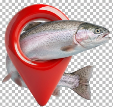 РЫБНАЯ ТОЧКА