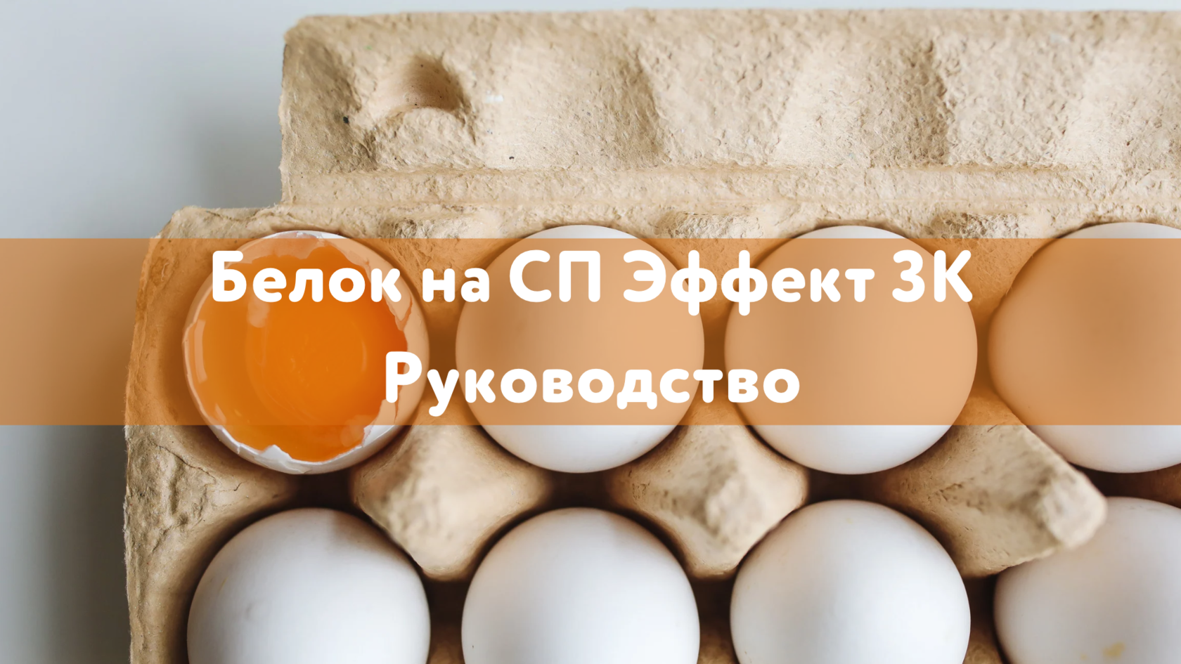 Белок в пищевых продуктах, Оптимальный уровень потребления белка, Нормы потребления белка, Значимость белка для здоровья, Белок и спортивное питание, Белок и глюконеогенез, Белок и мышечная масса, Белок и похудение, Белок и диеты Белковые добавки и их эфф