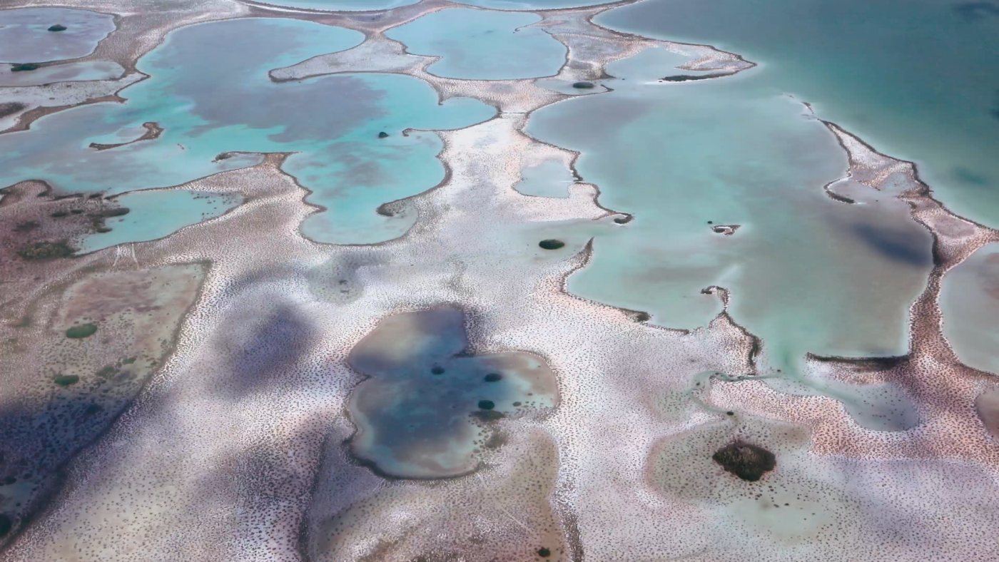 Photo portal video, Bahamas