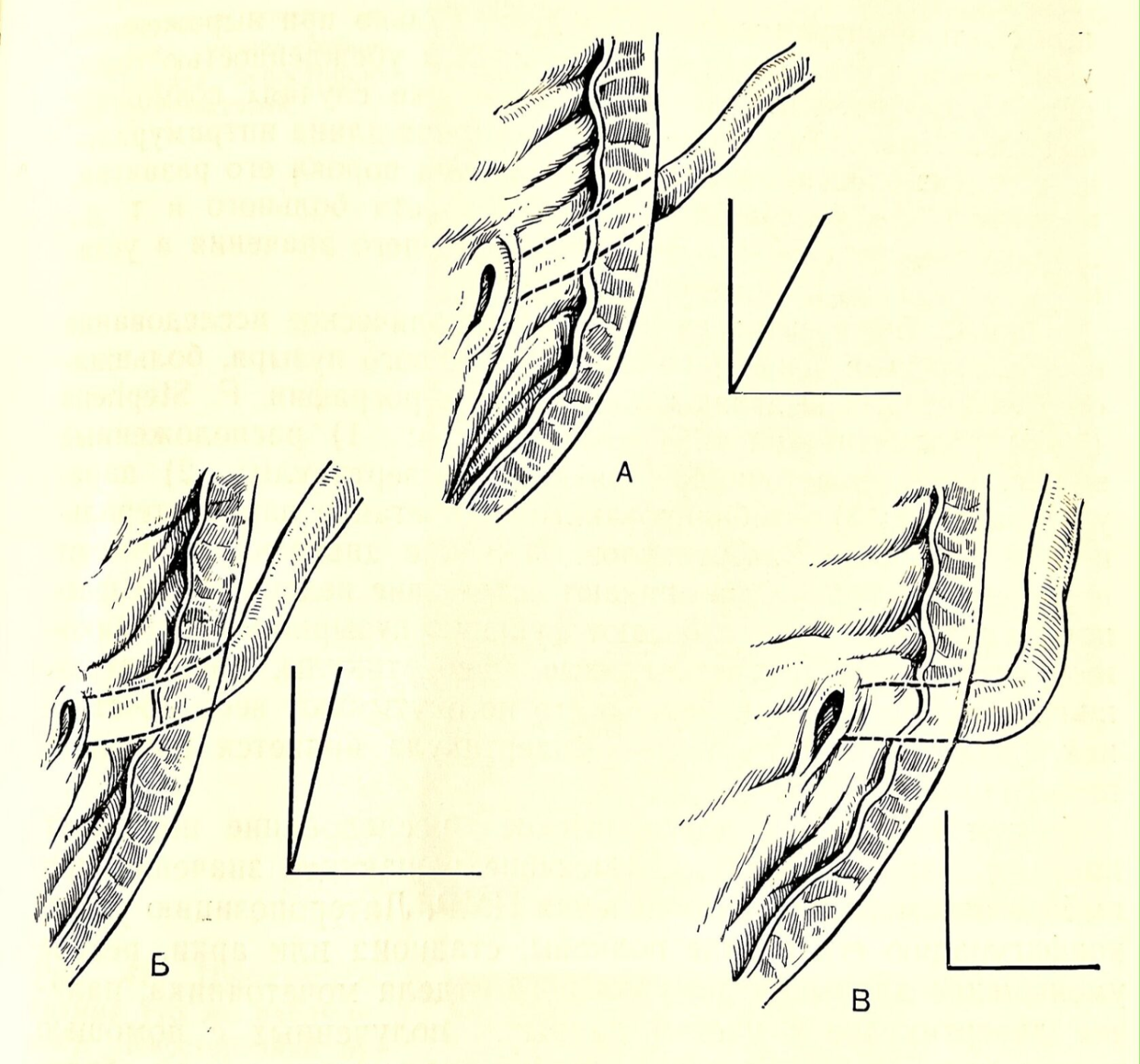 гранти мед гаврская 15. детский аллерголог по омс. зульфия нургалеевна можга. запись на прием к врачу по полису омс. офтальмолог бесплатно по полису омс.