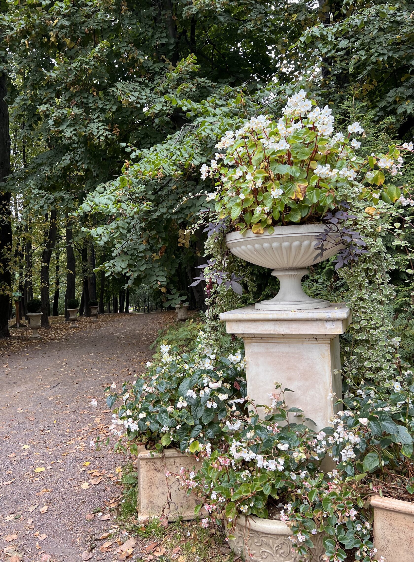 Совместные наблюдения 