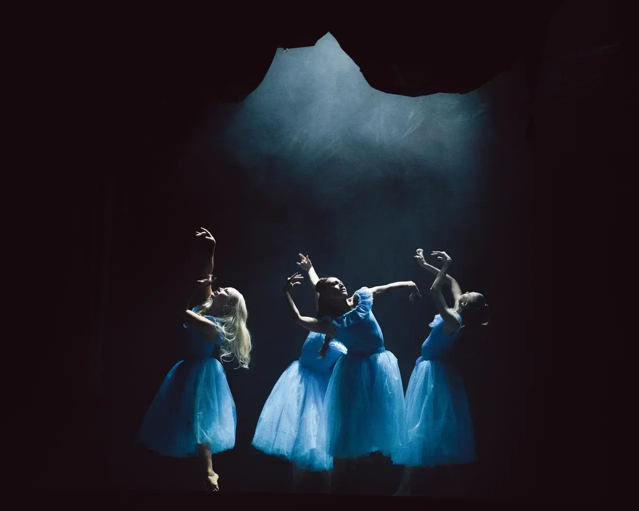 Фото из шоу