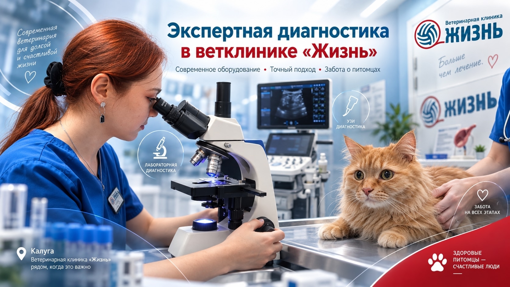 кошка часто ходит в туалет по маленькому: признаки, диагностика и помощь питомцу — ветеринарная клиника «Жизнь»