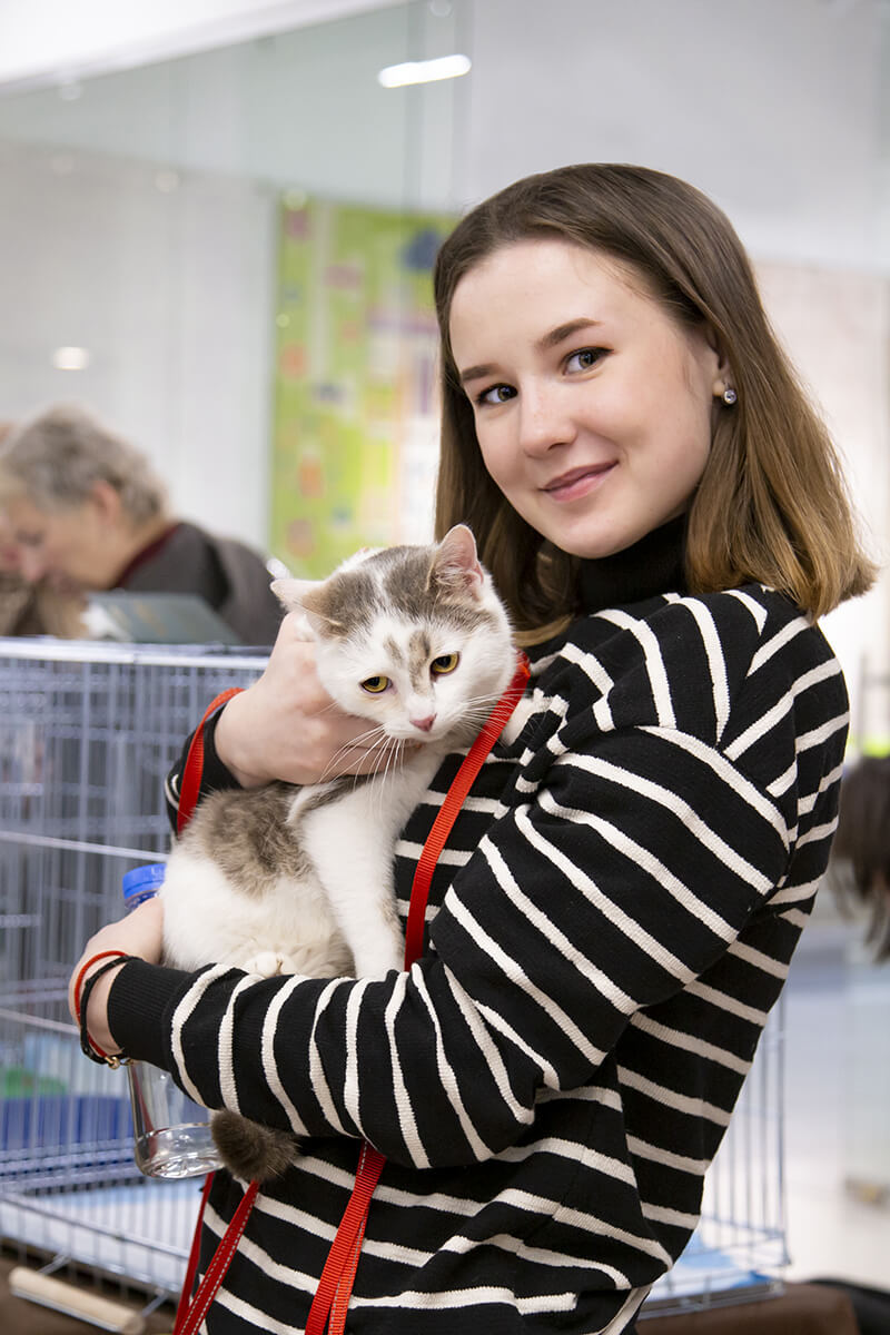 Подари котейке дом. Котоспасатели. Подари котейке дом. Подари котейке дом. Подари котейке дом.