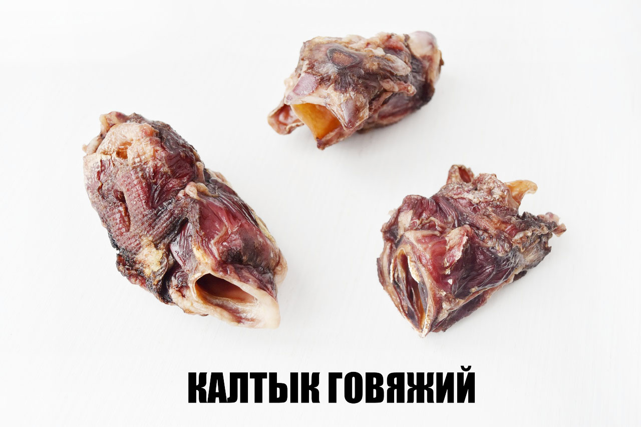 Калтык