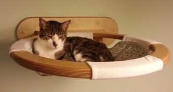Настенный гамак-лежанка для кошек