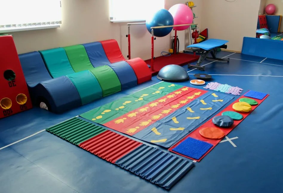 Поставка  тренировочного, развивающего и игрового спортивного инвентаря для АНО «Движение свободы» для реабилитации, абилитации и социальной адаптации детей и взрослых с нарушением развития и здоровья.