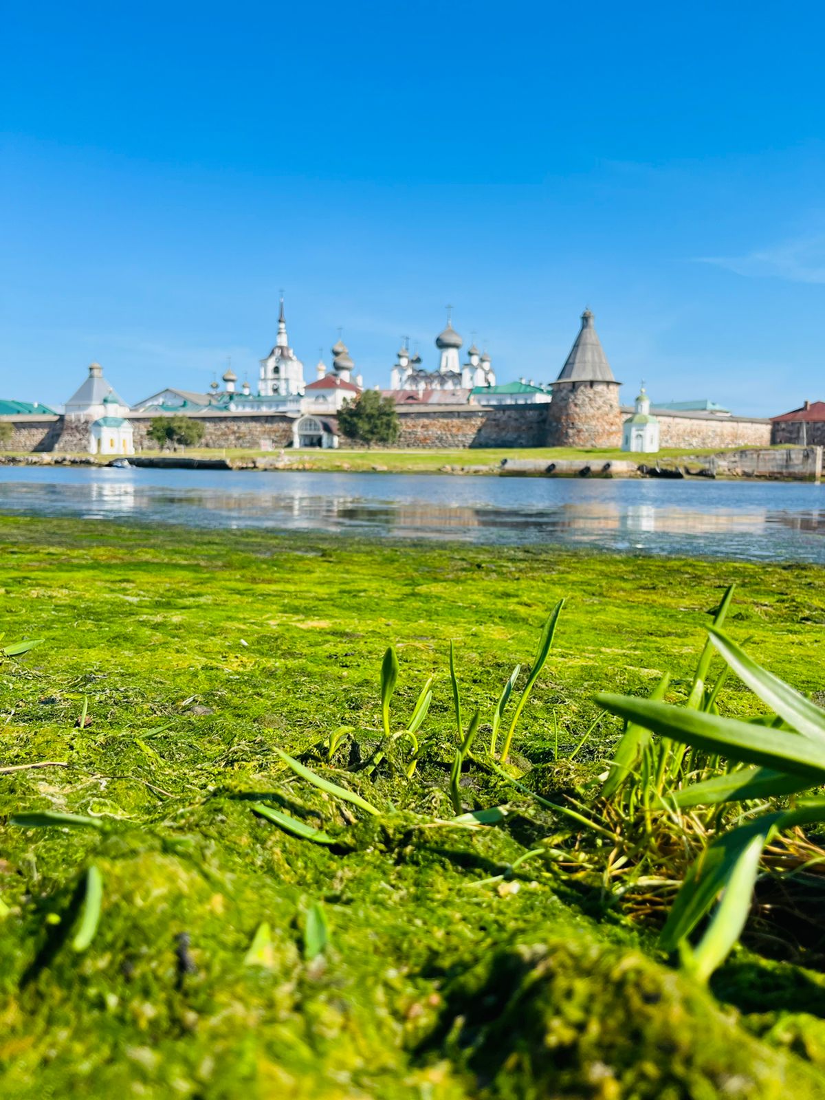 Карелия тур из москвы на 3 дня. Соловецкие острова. Соловки природа. Тур в Карелию из Минска.