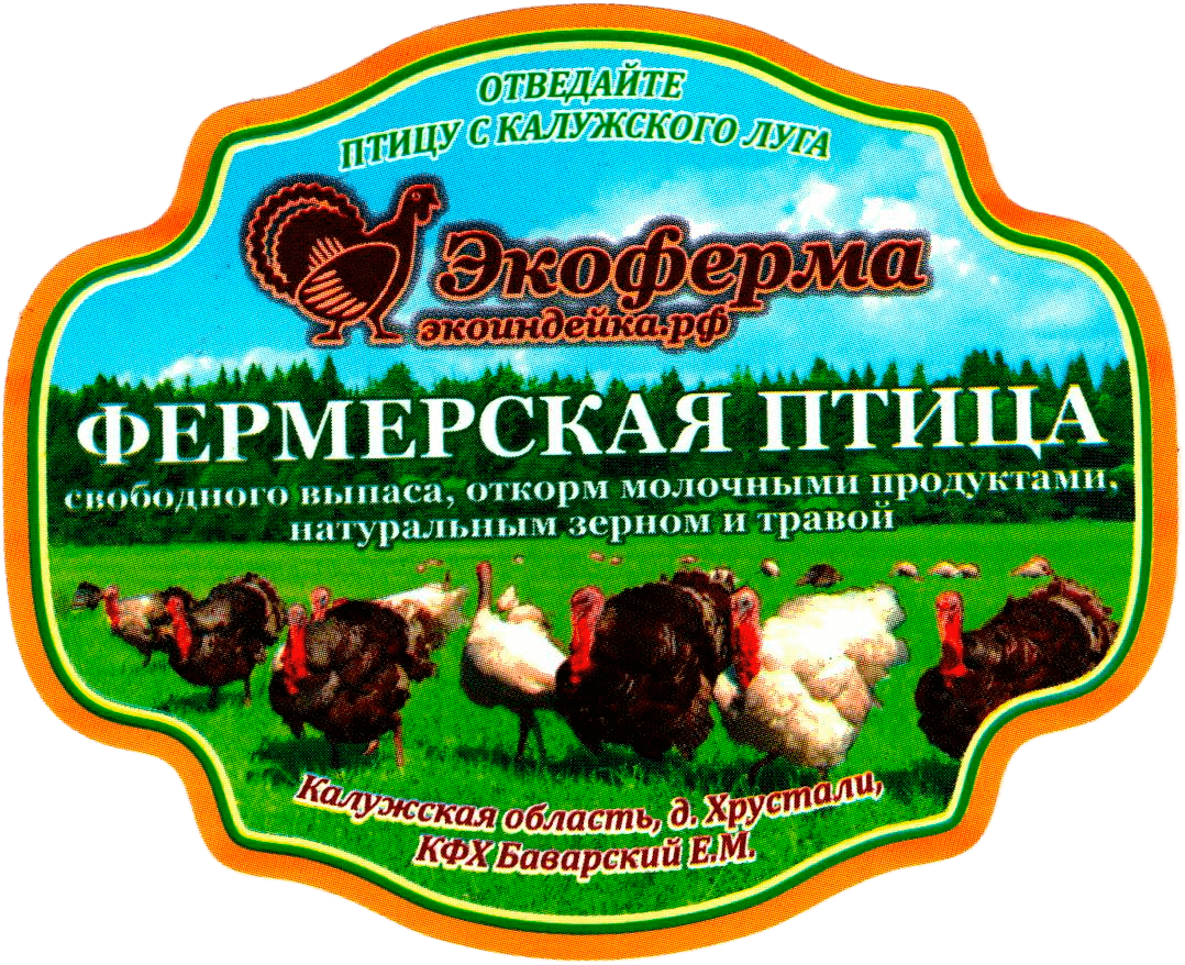 Этикетка | Портфолио