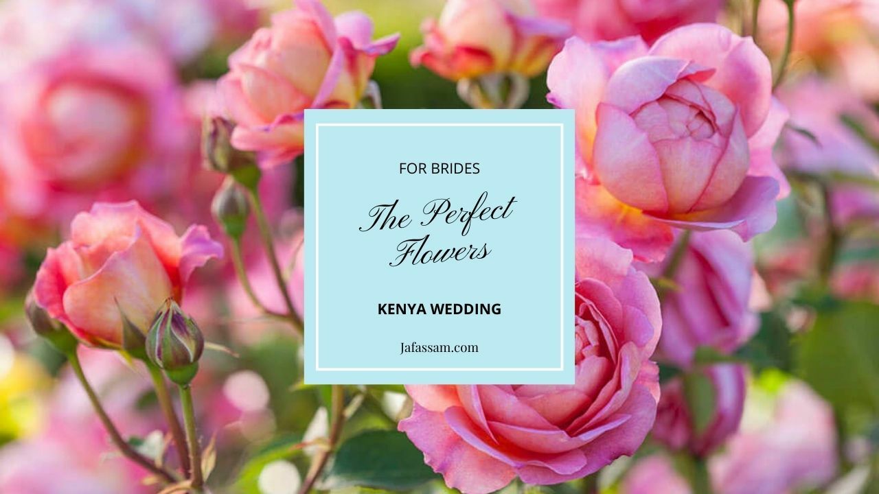 The Perfect Flowers for Your Kenyan Beach Wedding A Guide to the Best