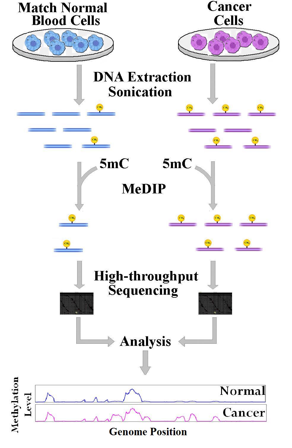 Next Generation Sequencing