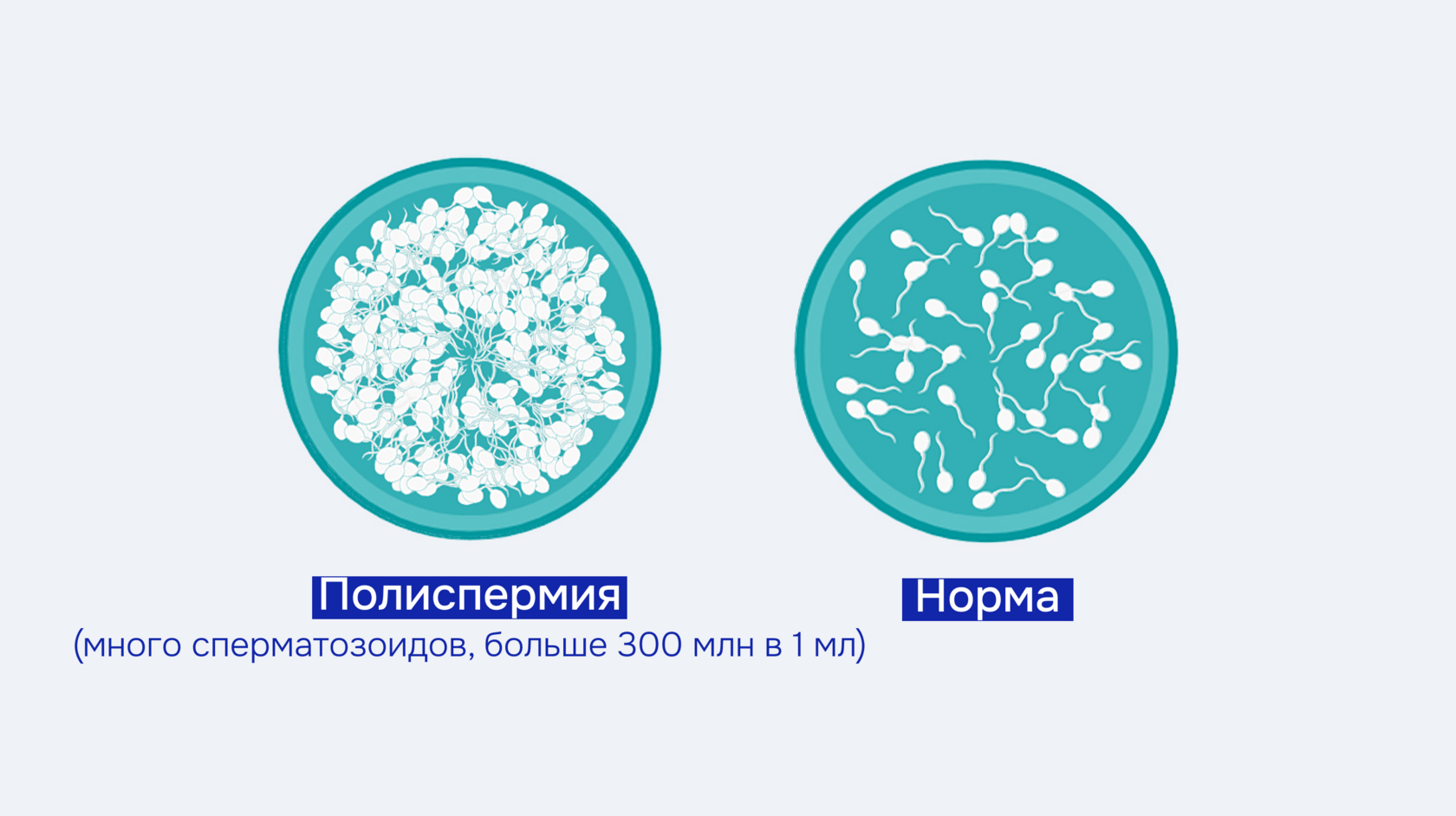 жалаңаш әйелдерге арналған бриджилер Интернетте қара порно үлкен топтама