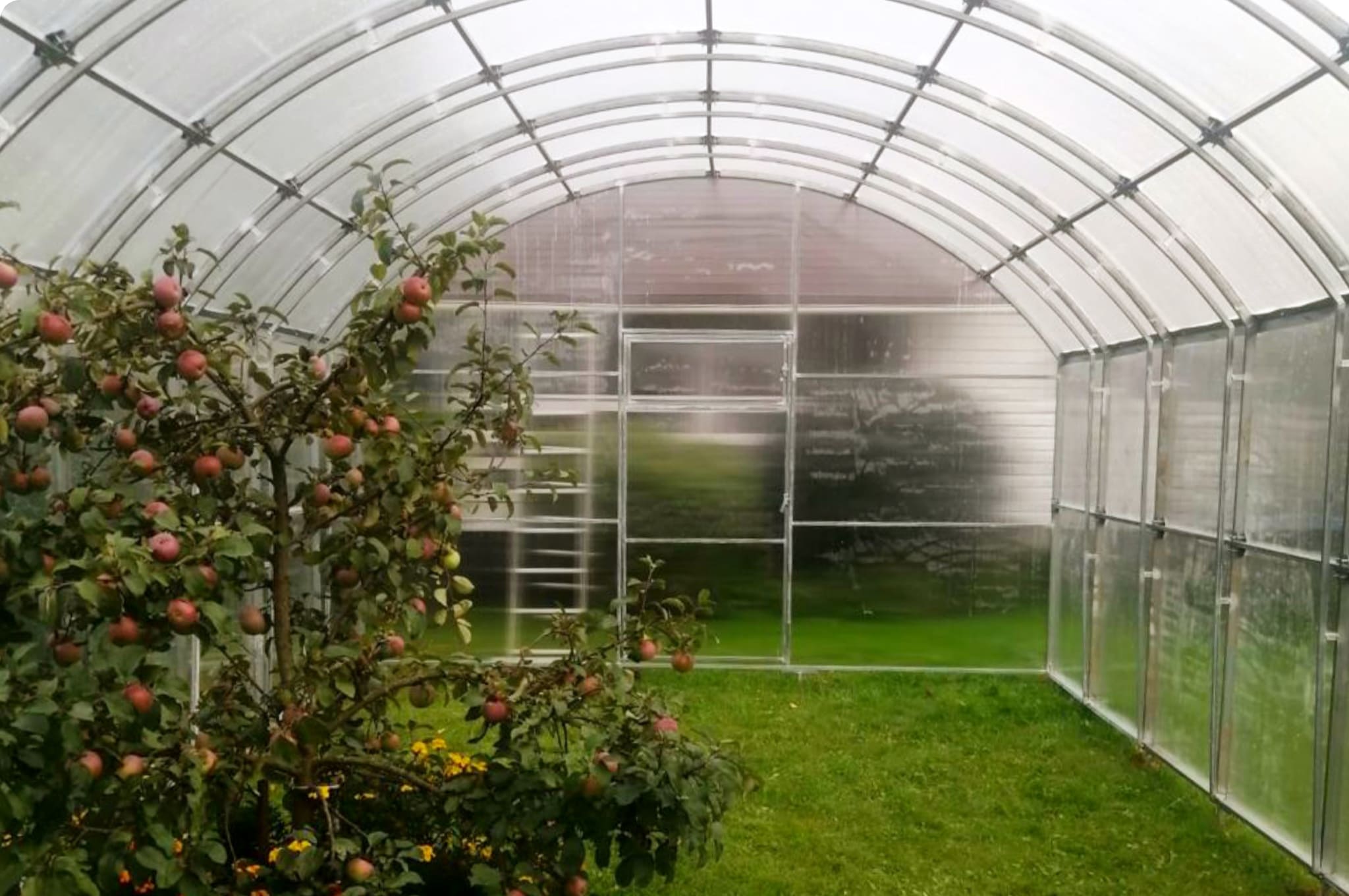 Завод теплиц - производство готовых теплиц, официальный сайт производителя