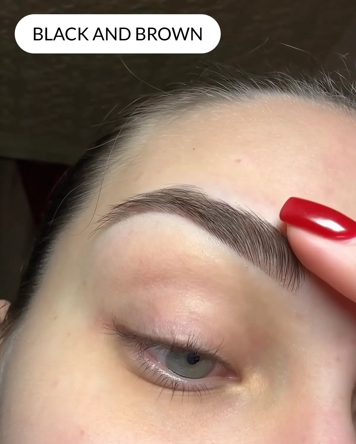 Review 8