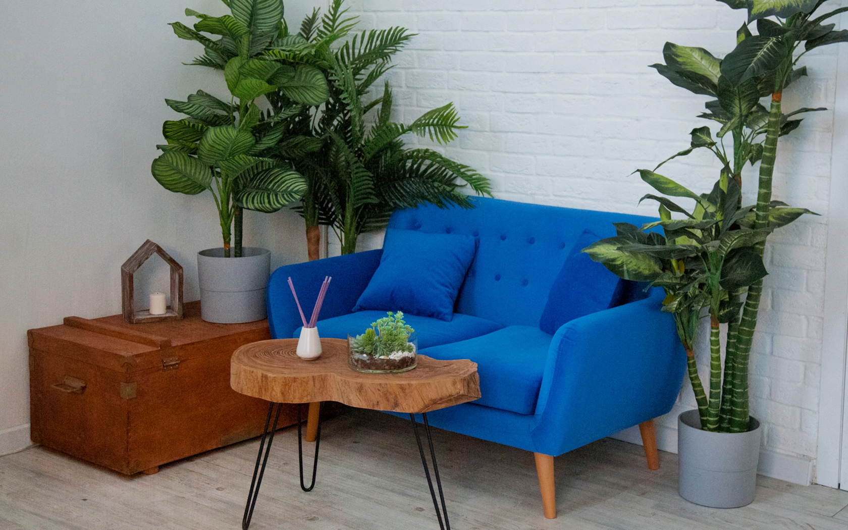 Фотостудия в Москве недорого