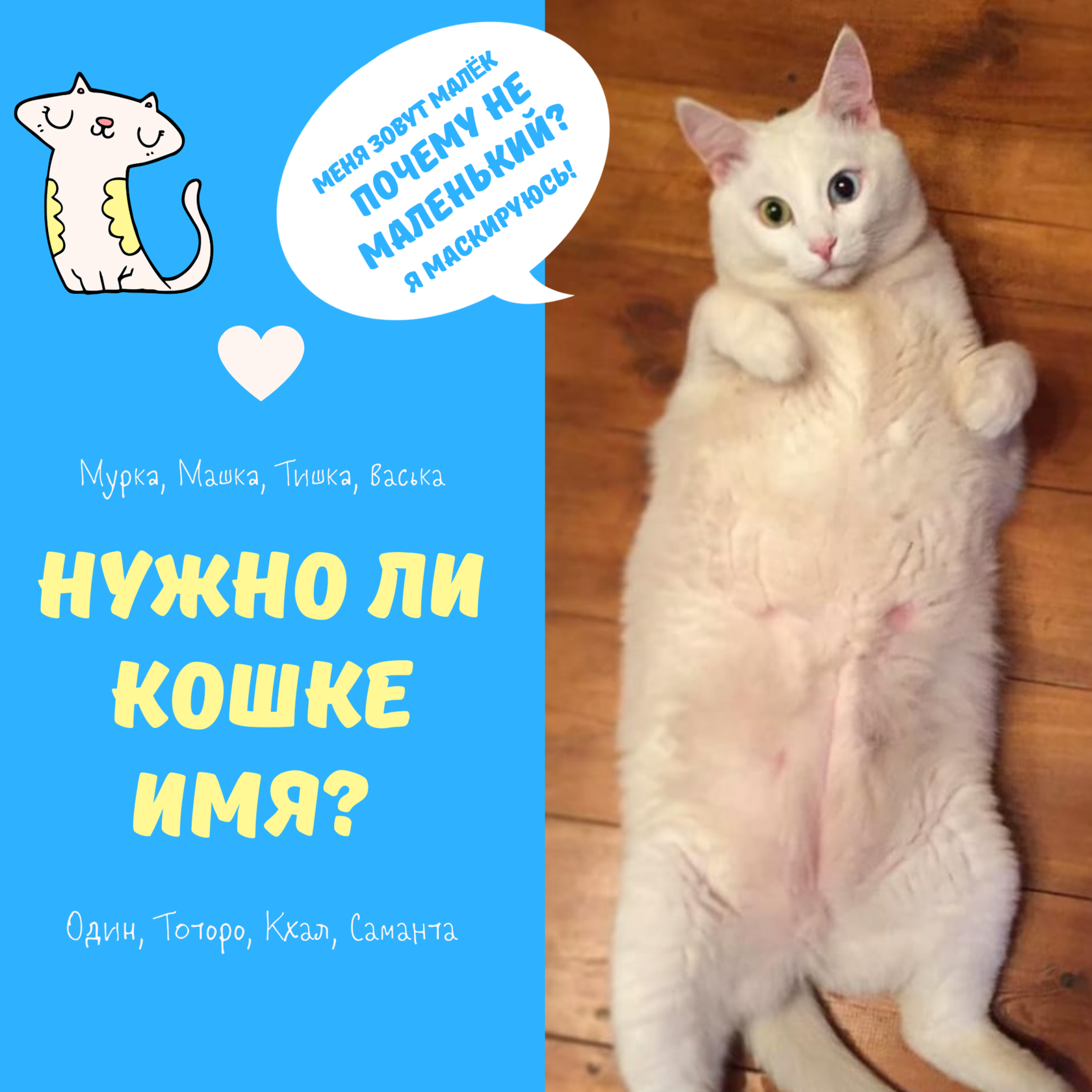 Имена для кошек женские